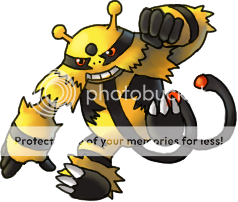 Is 2 Absorbers enough for you? [OU RMT] Electivire